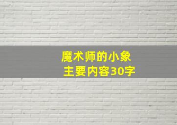 魔术师的小象主要内容30字