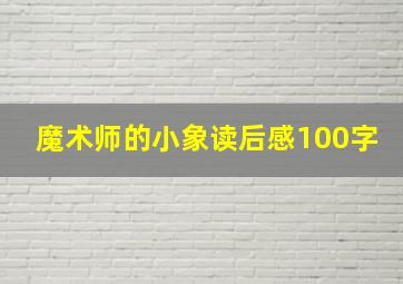 魔术师的小象读后感100字