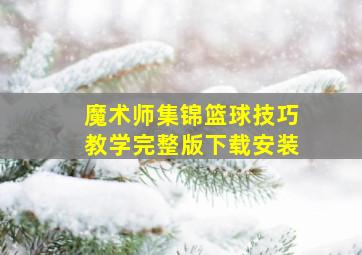 魔术师集锦篮球技巧教学完整版下载安装