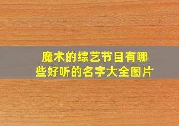 魔术的综艺节目有哪些好听的名字大全图片