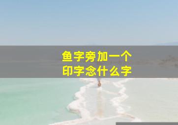 鱼字旁加一个印字念什么字