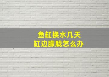 鱼缸换水几天缸边朦胧怎么办