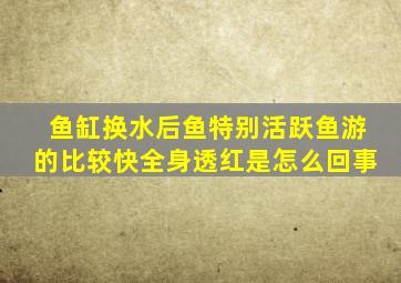 鱼缸换水后鱼特别活跃鱼游的比较快全身透红是怎么回事