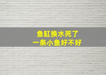 鱼缸换水死了一条小鱼好不好