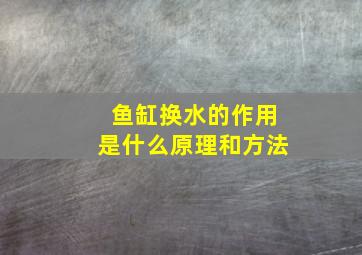 鱼缸换水的作用是什么原理和方法