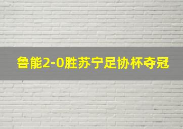 鲁能2-0胜苏宁足协杯夺冠