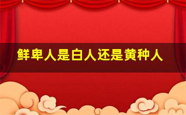 鲜卑人是白人还是黄种人