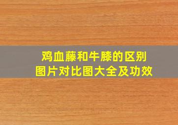 鸡血藤和牛膝的区别图片对比图大全及功效