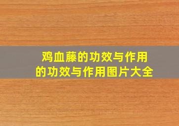 鸡血藤的功效与作用的功效与作用图片大全