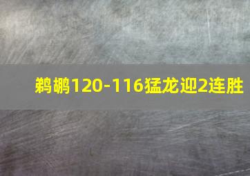 鹈鹕120-116猛龙迎2连胜