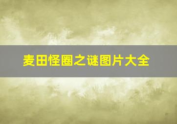 麦田怪圈之谜图片大全