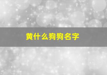 黄什么狗狗名字