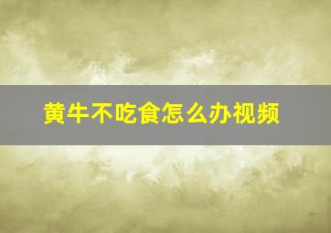 黄牛不吃食怎么办视频