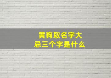 黄狗取名字大忌三个字是什么