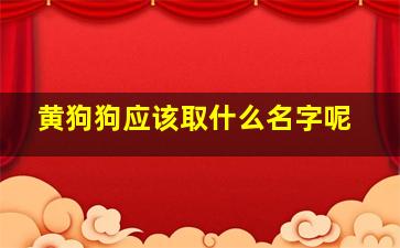 黄狗狗应该取什么名字呢