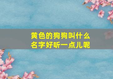 黄色的狗狗叫什么名字好听一点儿呢