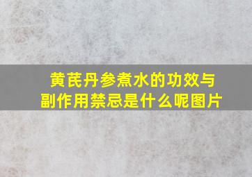 黄芪丹参煮水的功效与副作用禁忌是什么呢图片