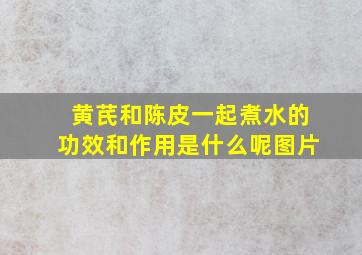 黄芪和陈皮一起煮水的功效和作用是什么呢图片