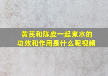 黄芪和陈皮一起煮水的功效和作用是什么呢视频