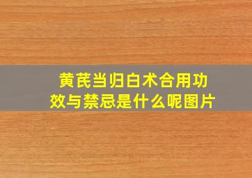 黄芪当归白术合用功效与禁忌是什么呢图片