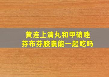 黄连上清丸和甲硝唑芬布芬胶囊能一起吃吗