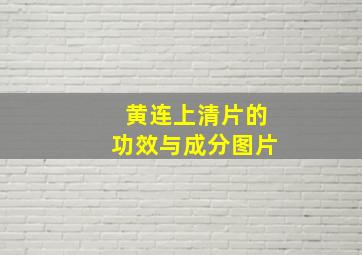 黄连上清片的功效与成分图片