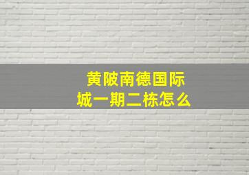 黄陂南德国际城一期二栋怎么