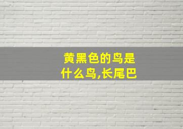 黄黑色的鸟是什么鸟,长尾巴