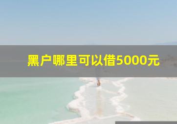 黑户哪里可以借5000元