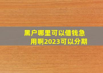 黑户哪里可以借钱急用啊2023可以分期