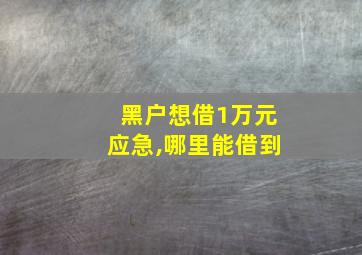 黑户想借1万元应急,哪里能借到