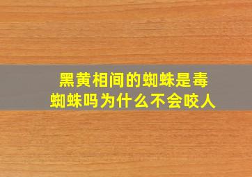 黑黄相间的蜘蛛是毒蜘蛛吗为什么不会咬人