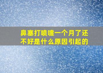 鼻塞打喷嚏一个月了还不好是什么原因引起的