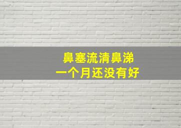 鼻塞流清鼻涕一个月还没有好