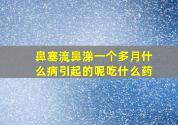 鼻塞流鼻涕一个多月什么病引起的呢吃什么药