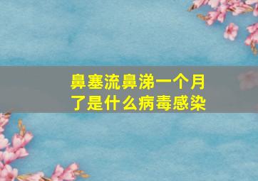 鼻塞流鼻涕一个月了是什么病毒感染