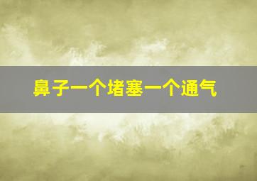 鼻子一个堵塞一个通气