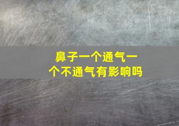 鼻子一个通气一个不通气有影响吗