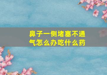 鼻子一侧堵塞不通气怎么办吃什么药