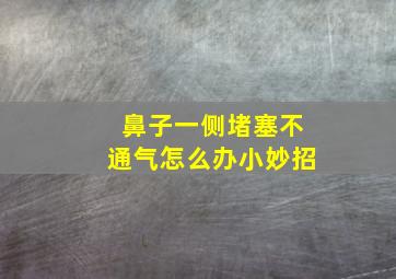 鼻子一侧堵塞不通气怎么办小妙招