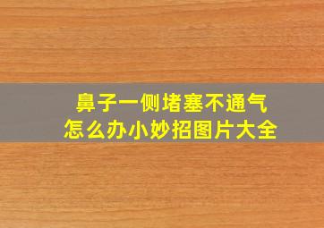 鼻子一侧堵塞不通气怎么办小妙招图片大全