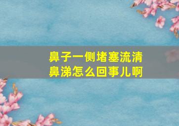 鼻子一侧堵塞流清鼻涕怎么回事儿啊