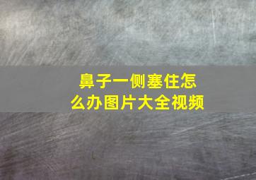 鼻子一侧塞住怎么办图片大全视频