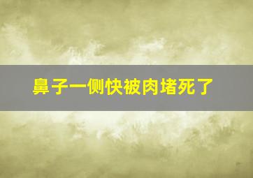 鼻子一侧快被肉堵死了