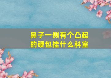 鼻子一侧有个凸起的硬包挂什么科室