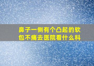 鼻子一侧有个凸起的软包不痛去医院看什么科