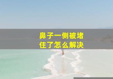 鼻子一侧被堵住了怎么解决