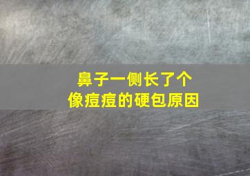 鼻子一侧长了个像痘痘的硬包原因