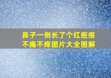 鼻子一侧长了个红疙瘩不痛不痒图片大全图解