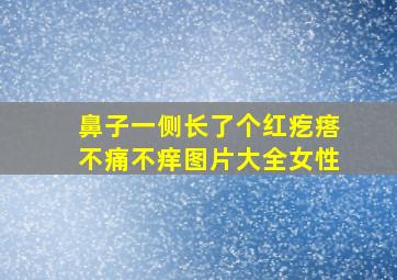 鼻子一侧长了个红疙瘩不痛不痒图片大全女性